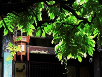 ���ܴ���