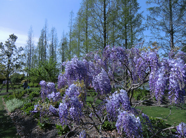 ��������ʱ