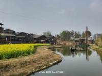 ����-������•�人����ͷ