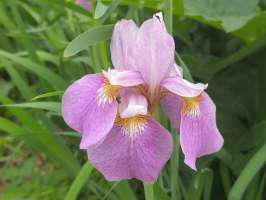 ��������ܻ���