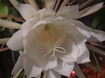 �ҵġ���̨����԰��