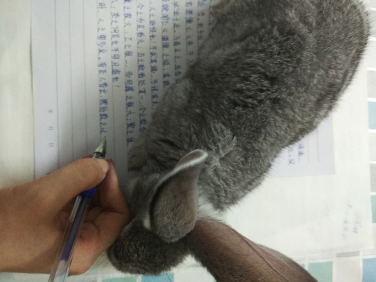 数字资产