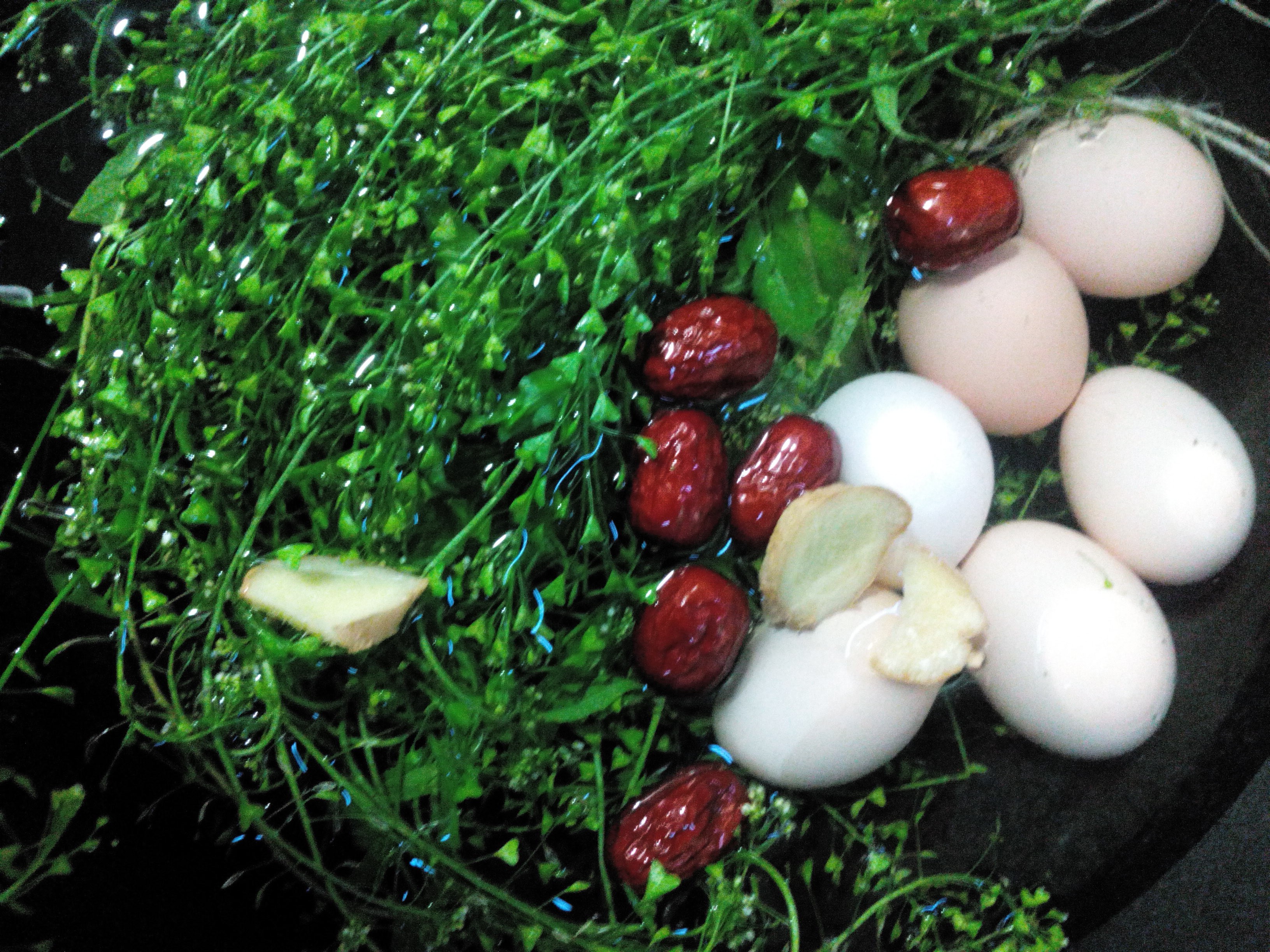 农历三月三荠菜煮鸡蛋