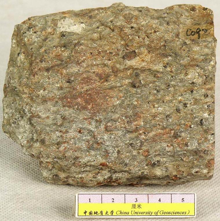 十字石石榴石云母片岩-斑状变晶结构,基质鳞片变晶结构