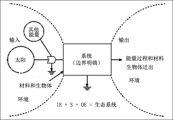 生态系统的概念