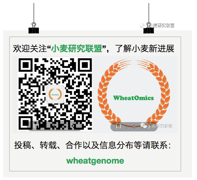 wheatomics2.jpg