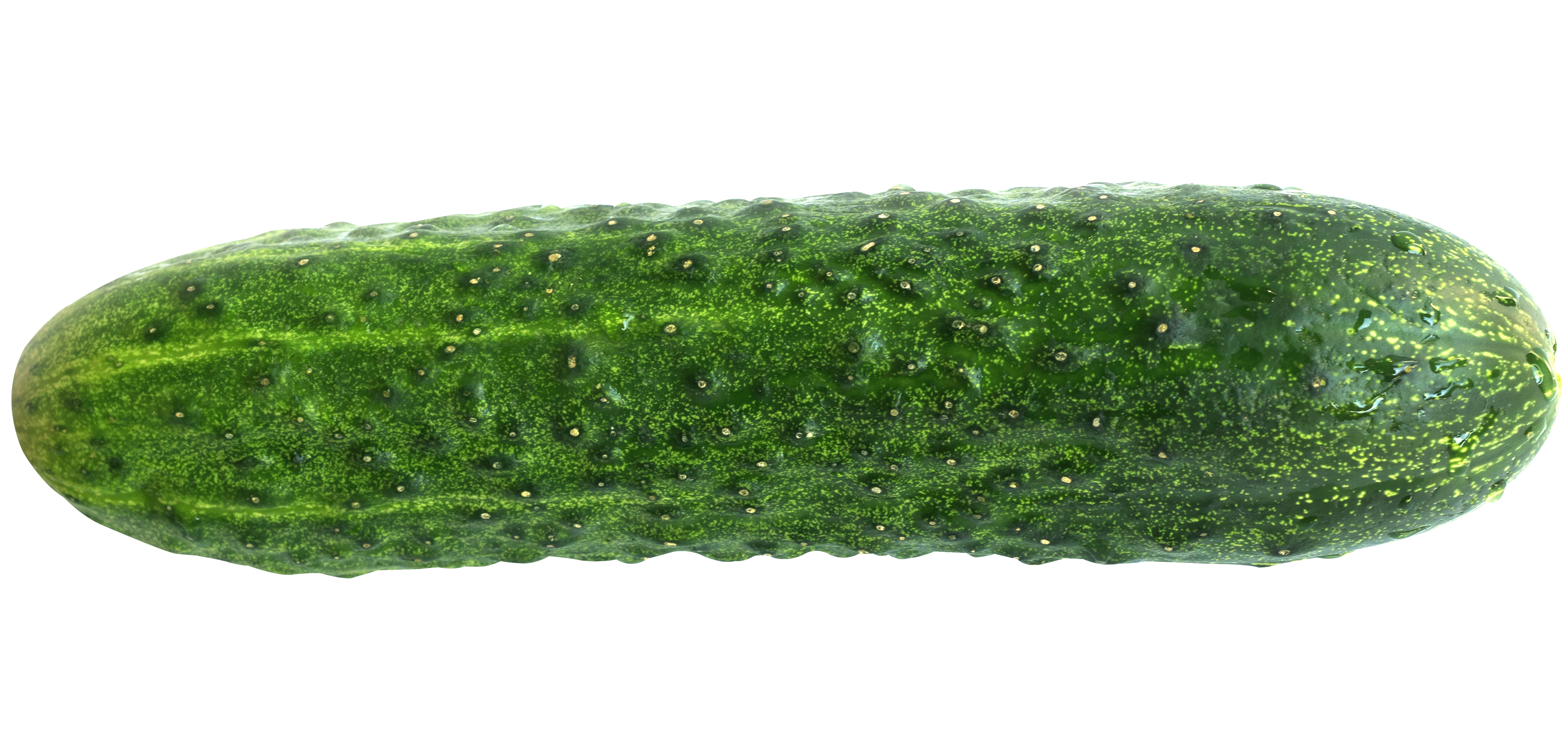 Cucumber-PNG-image.png