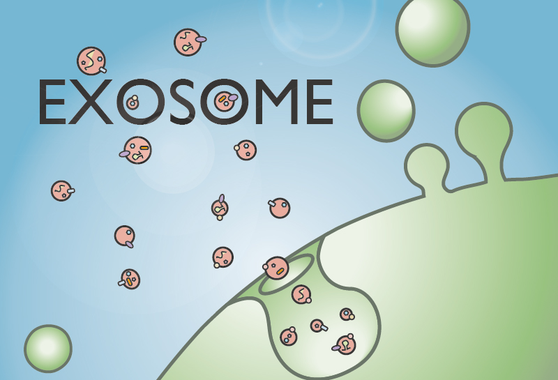 exosome_blog_pic-01.jpg