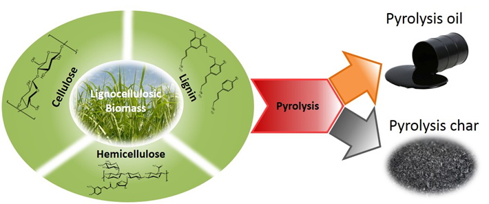 lignocellulosic biomass pyrolysis-1.jpg