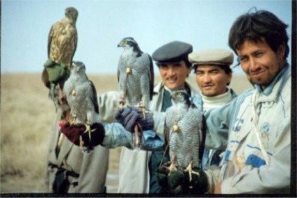 9 Falconry-Heritage-in-the-west-China-ph.jpg