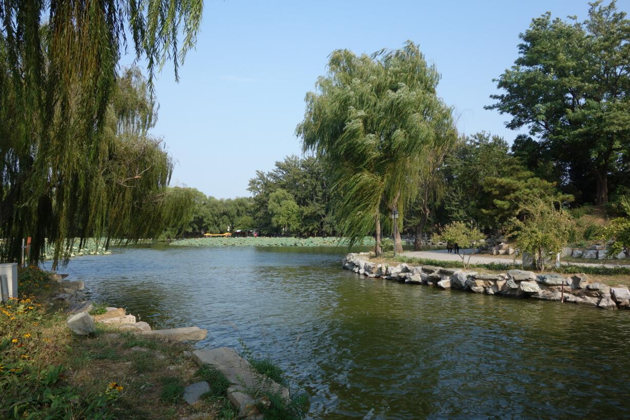 【携程攻略】北京圆明园九州景区景点,九州景区，它是后湖为中心环绕着九个小岛，然后如众星捧月般的分布。…