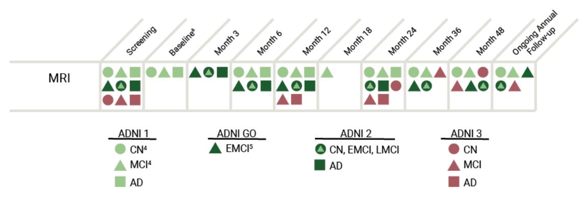 ADNI-longitudinal.JPG