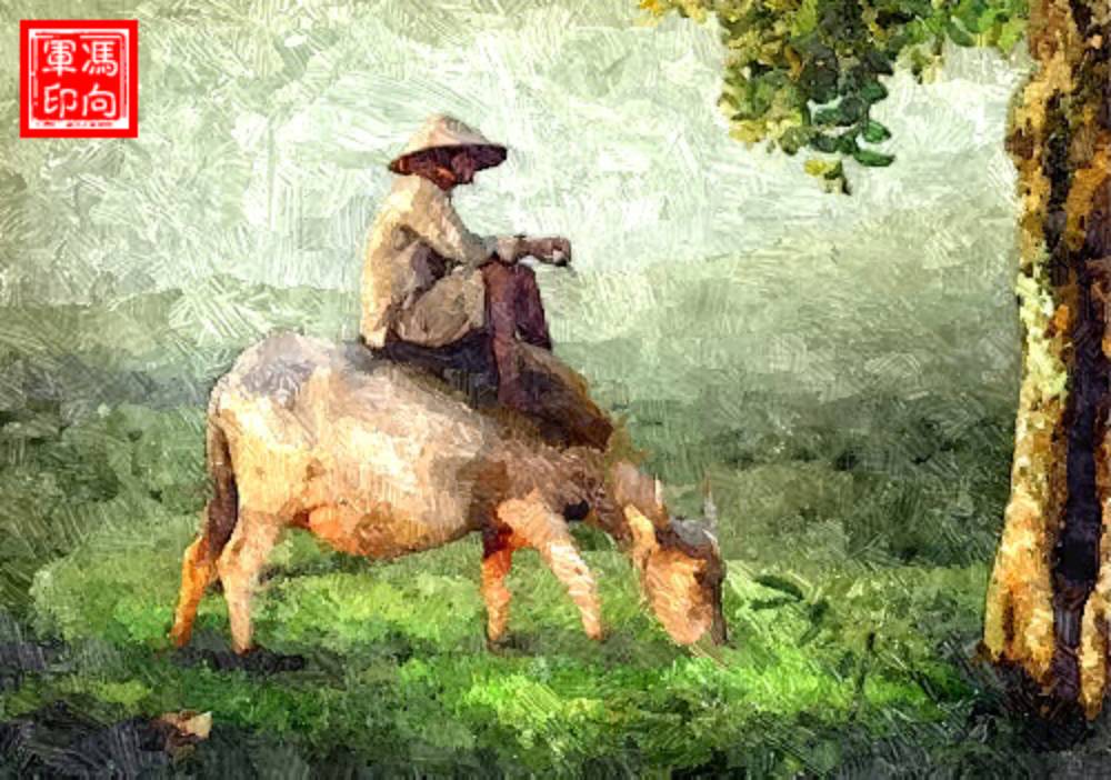 farmer-man-shepherd-dog-162520 (1) (1).jpg