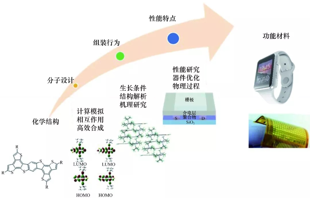 探索其功能与应用领域 (探索作用)