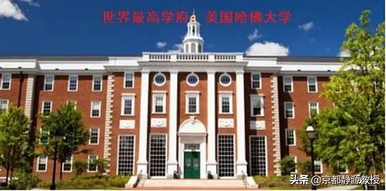 p218462632.webp.jpg