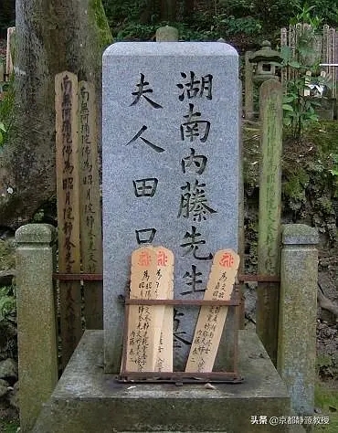p218462637.webp.jpg