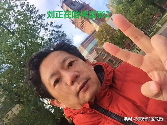 p218462646.webp.jpg