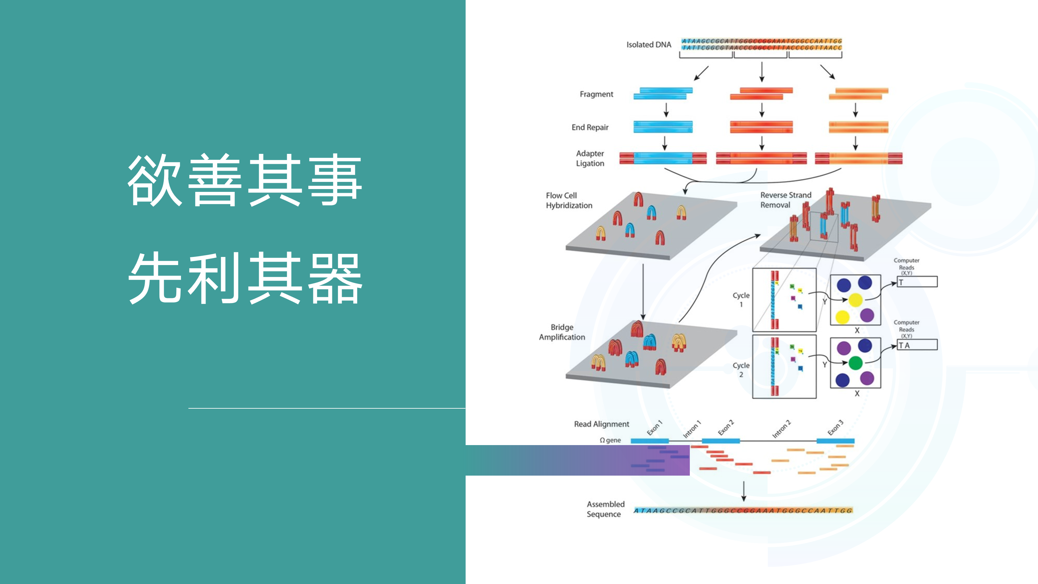科学网 转载 微生物多样性测序结果如何看 牛耀芳的博文