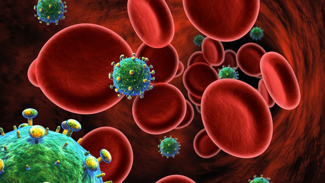HIV-in-Blood.jpg