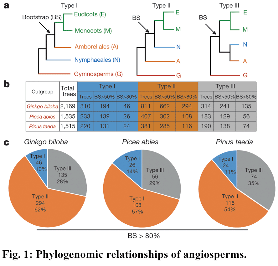 Figure1.png