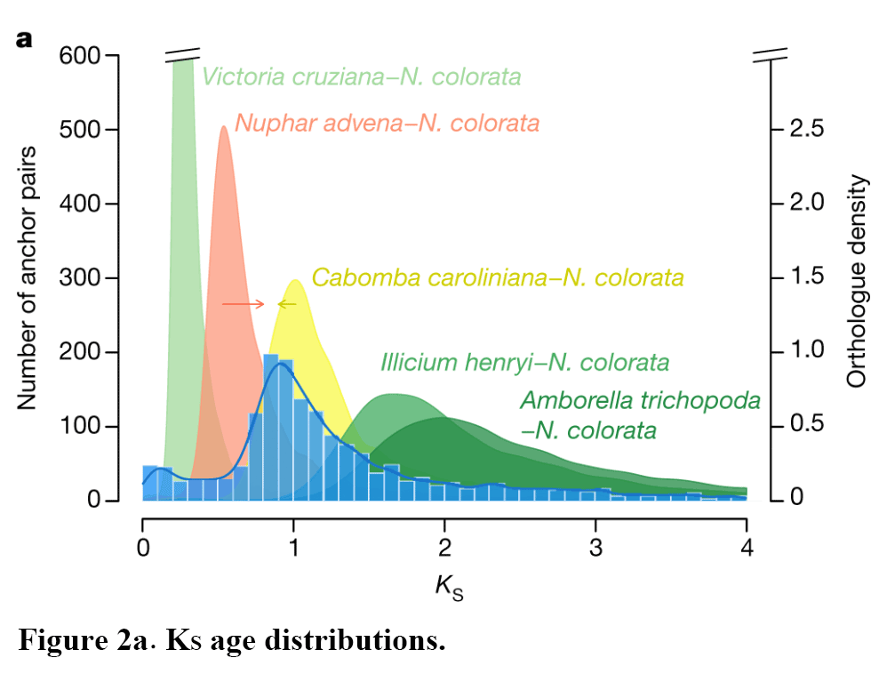 Figure2a.png