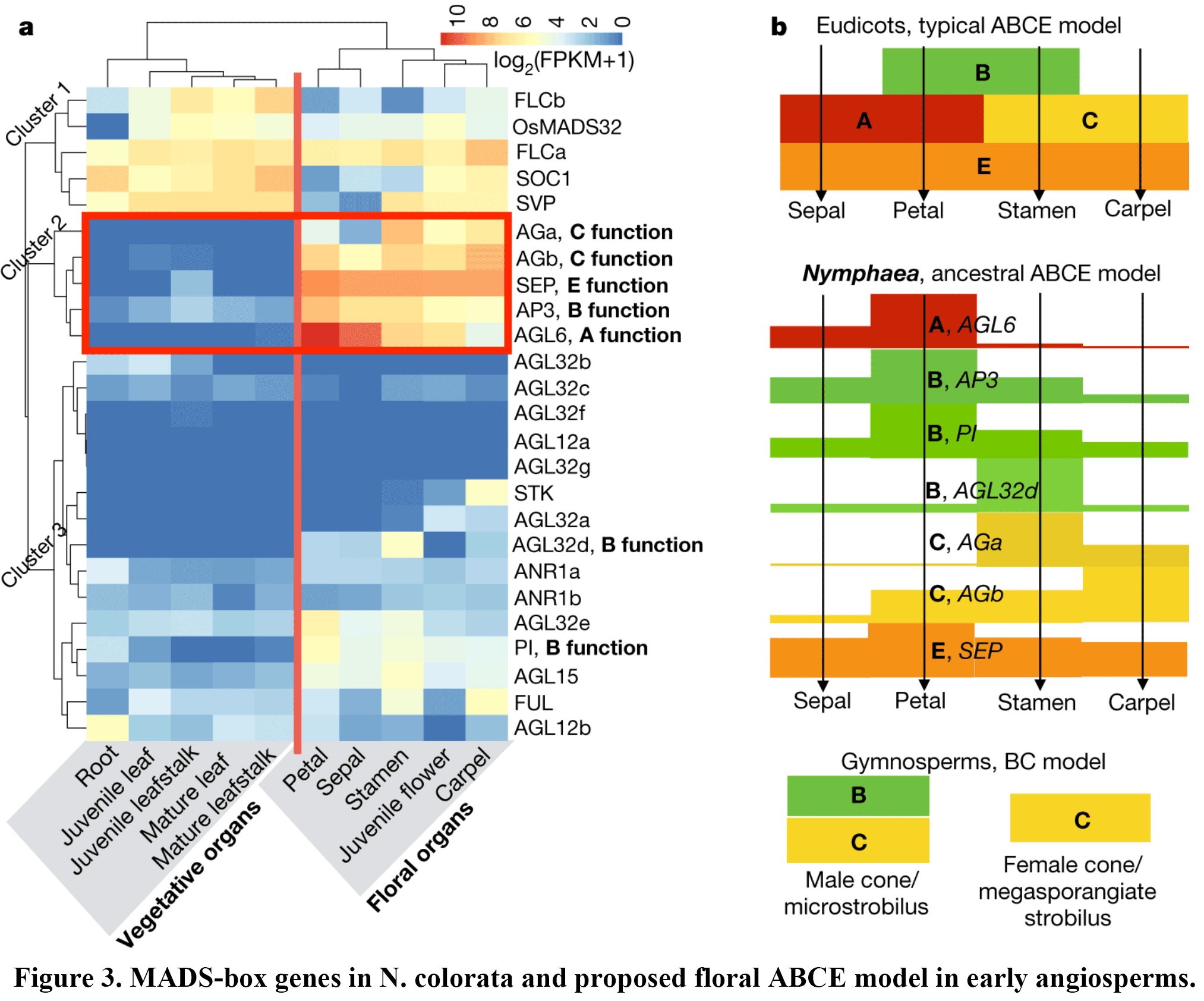 Figure-3.png