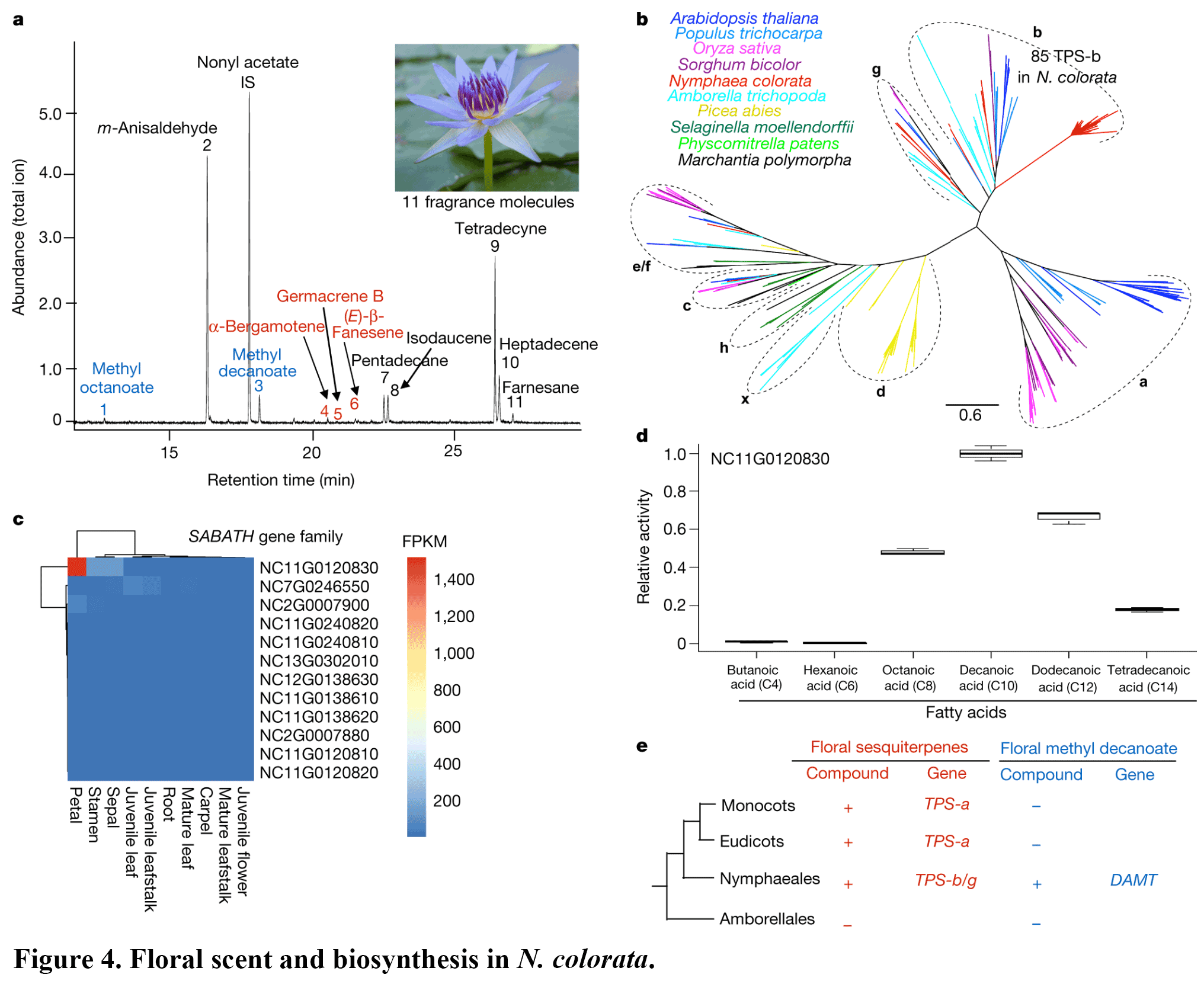 Figure-4.png