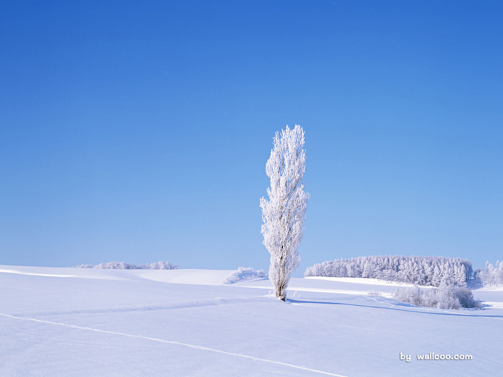 nature_winter_snow_18238_2.jpg