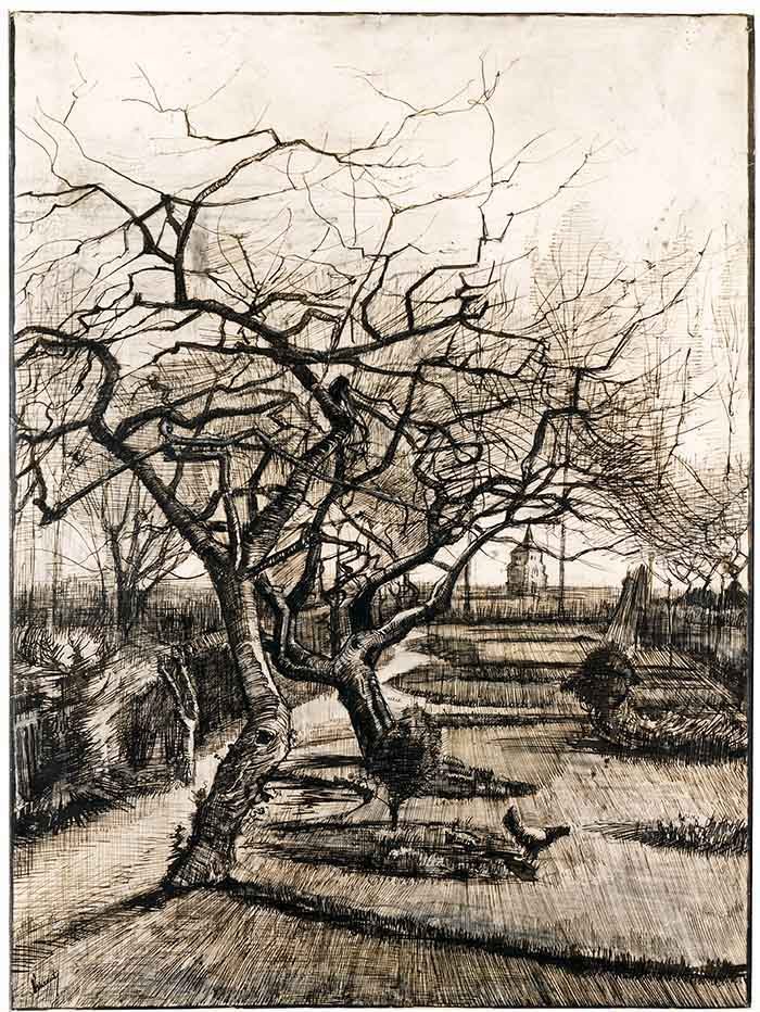 Van-Gogh-2.jpg