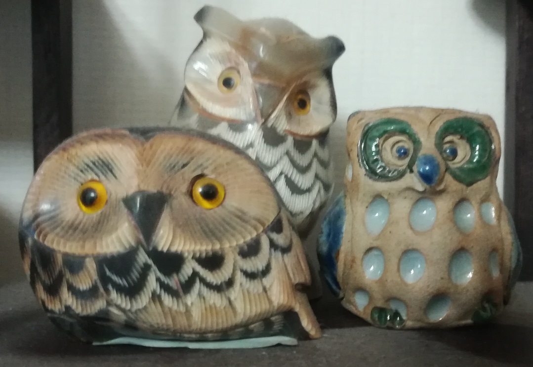 Owls èͷӥֻƷ  .jpg