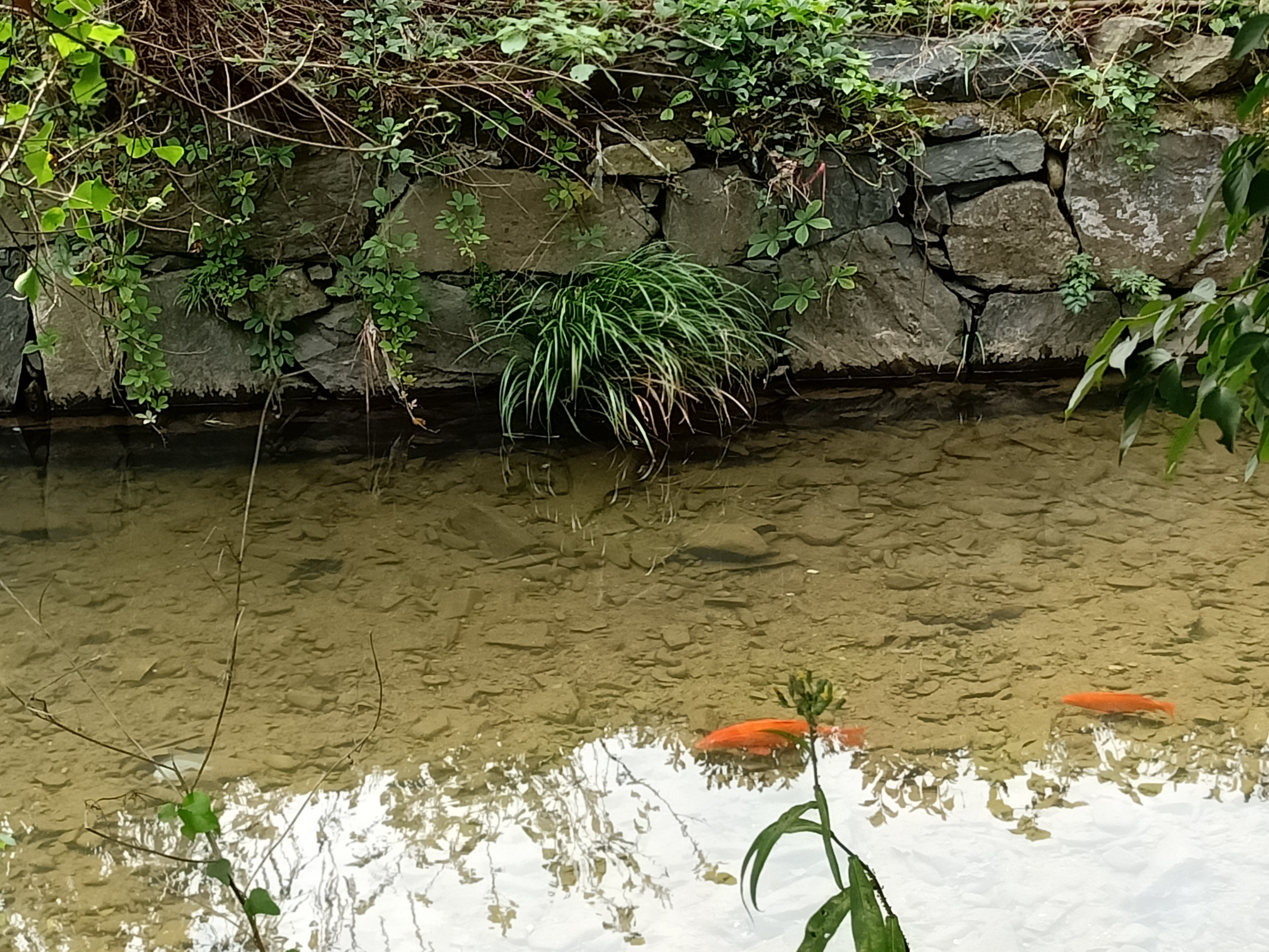 image033.jpg