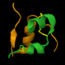 Insulin_chain_A_and_B_linked_by_disulfide_bridges.gif