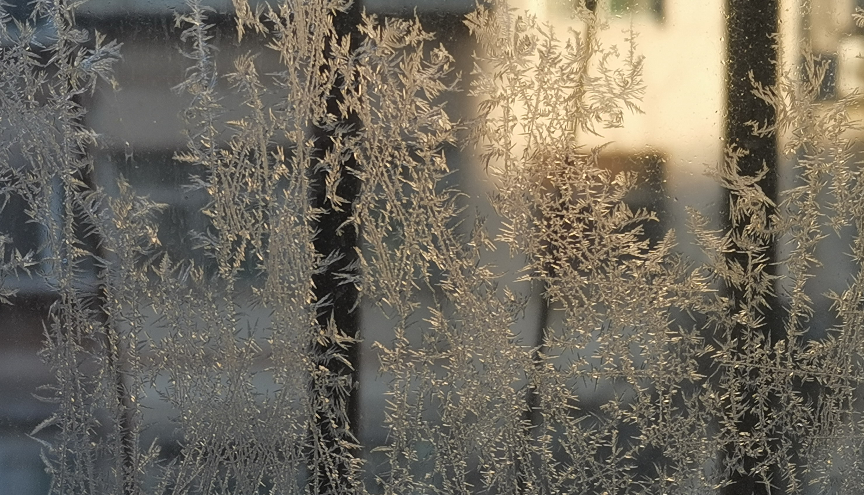 霜的玻璃上的雪花 库存照片. 图片 包括有 看板卡, 照亮, 特写镜头, 季节, 树冰, 宏指令, 冰冷 - 258621328