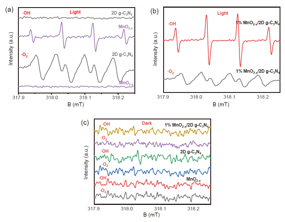 Fig.6.png