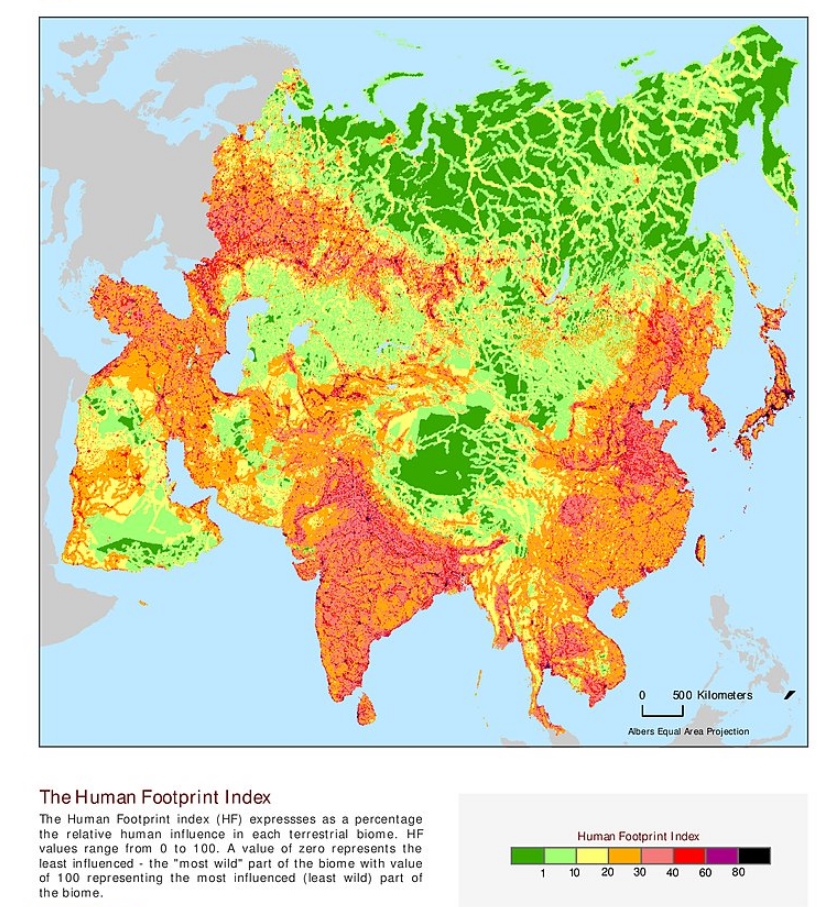 footprint.jpg