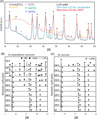 cey2131-fig-0002-m.png