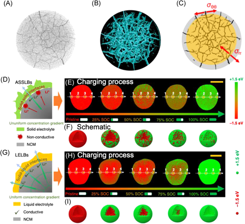 cey2131-fig-0006-m.png