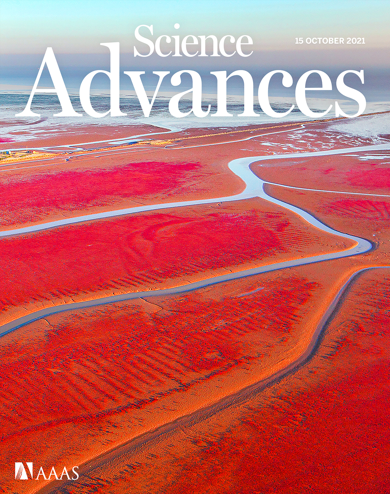 sciadv.2021.7.issue-42.largecover.jpg