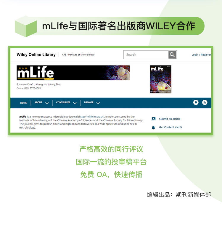 mLife定稿公众号长图设计_07.jpg