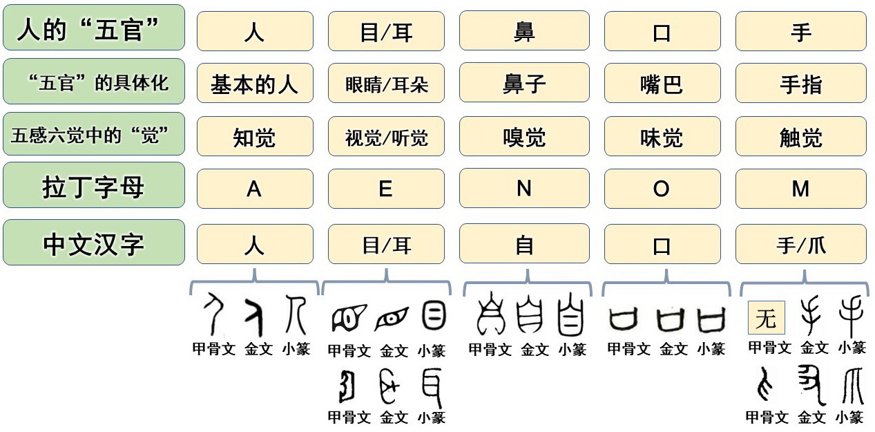 与人的五官相关的拉丁字母、中文汉字等   ok.jpg