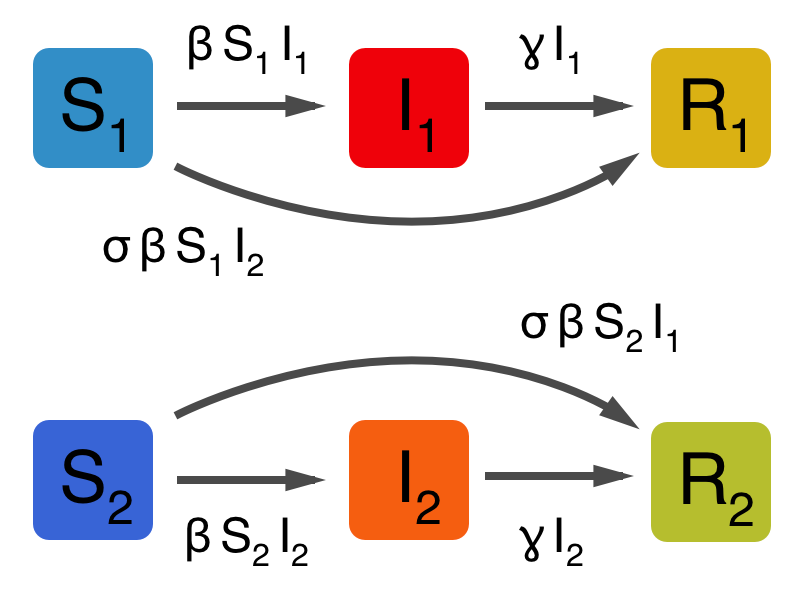 two_strain_sir_polarizing_compartments.png