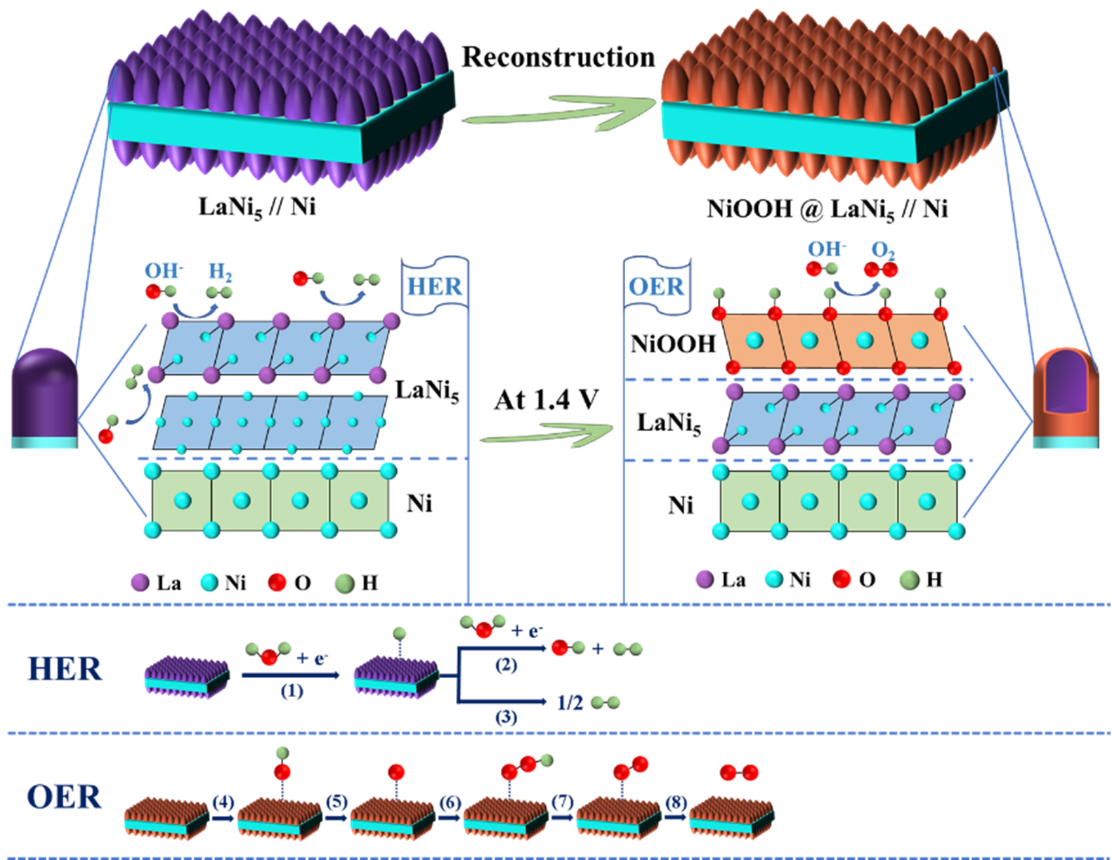 Fig.2.png