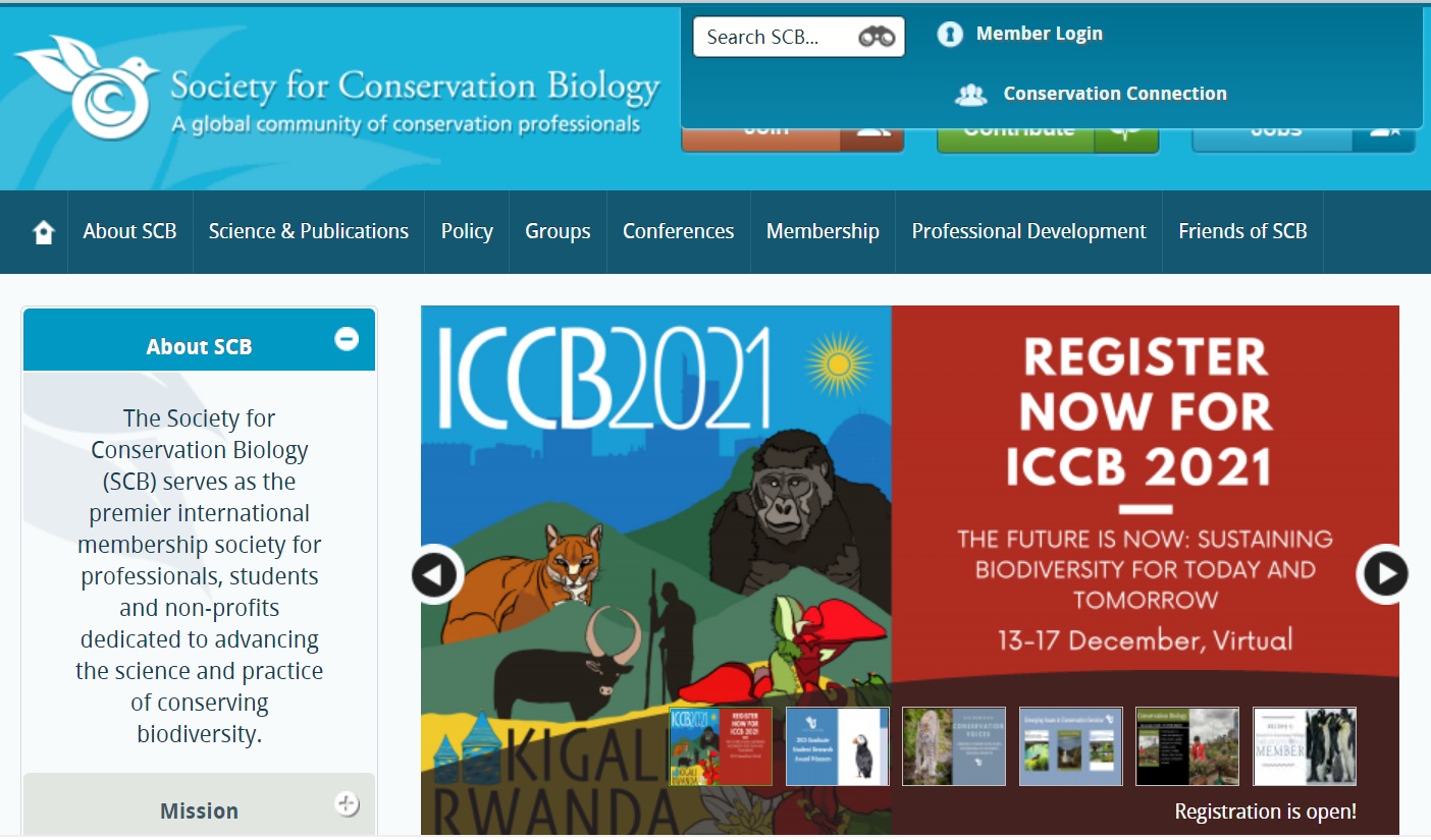 ICCB SCB WEB 2021.jpg