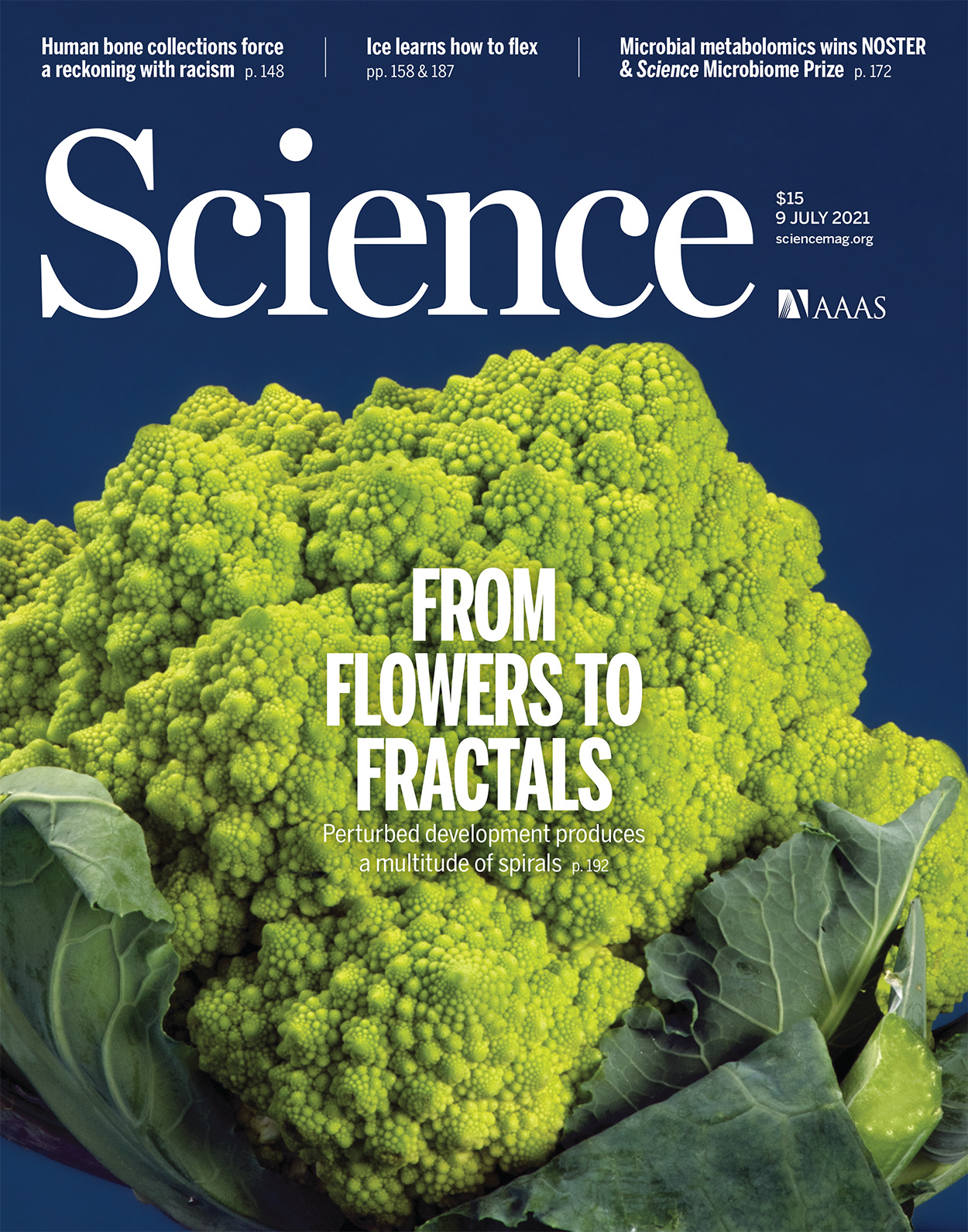 science.2021.373.issue-6551.largecover.jpg