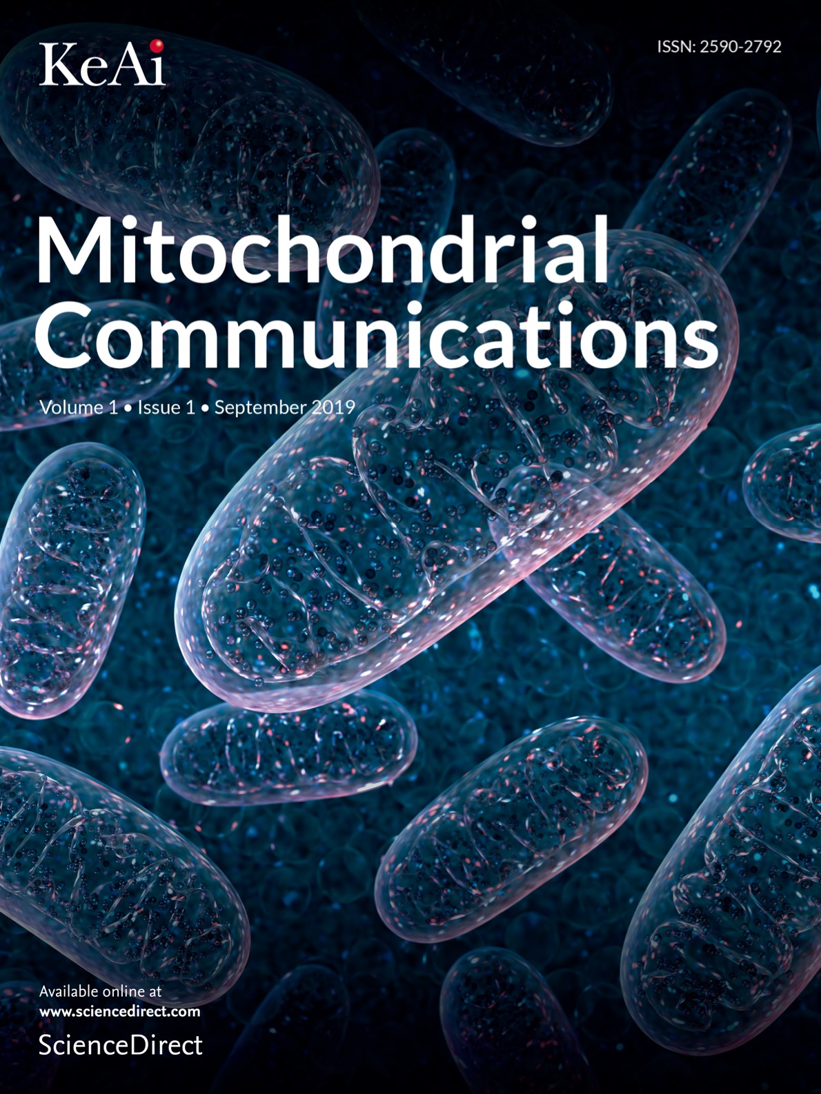 Mitochondrial Communications.jpg