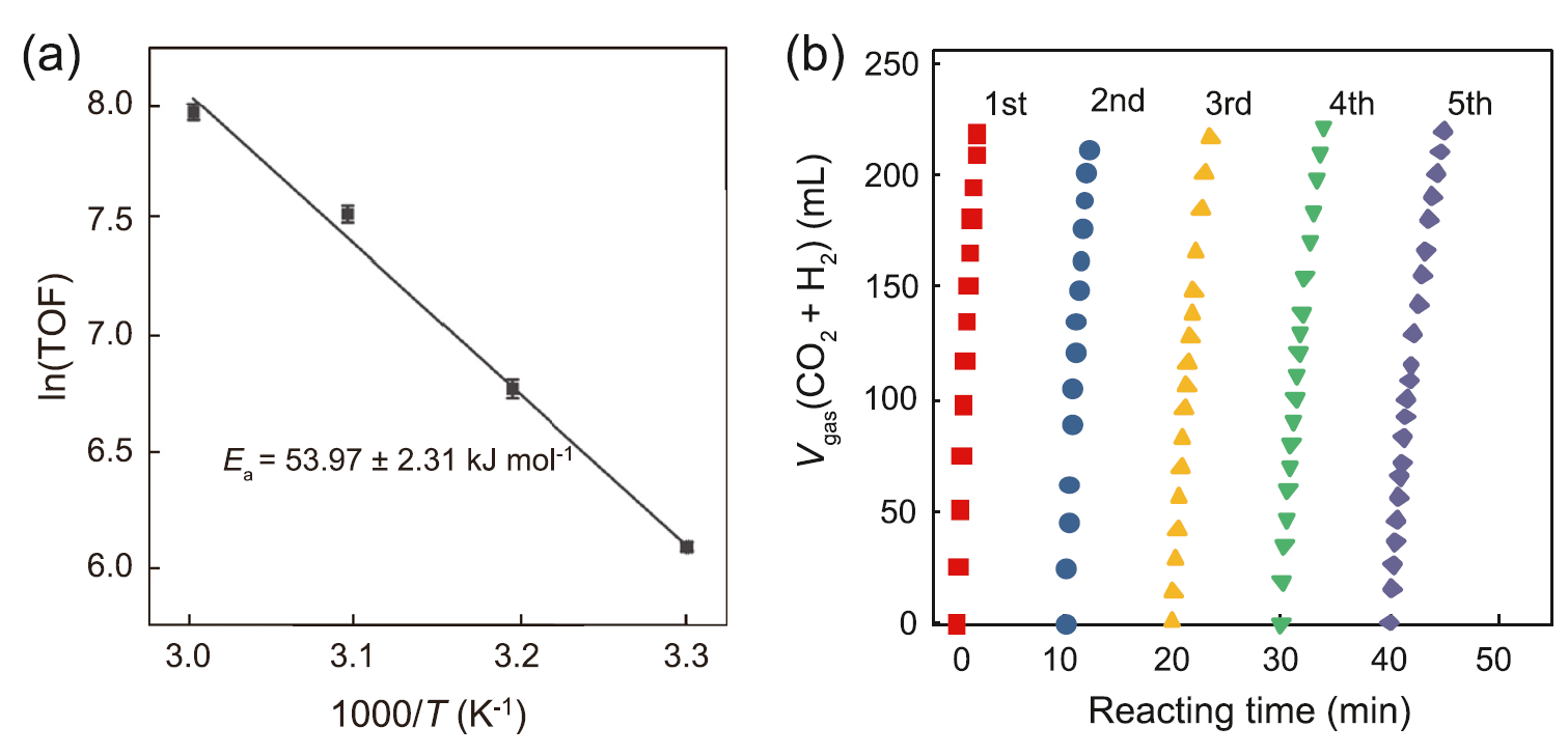 Fig.5.png