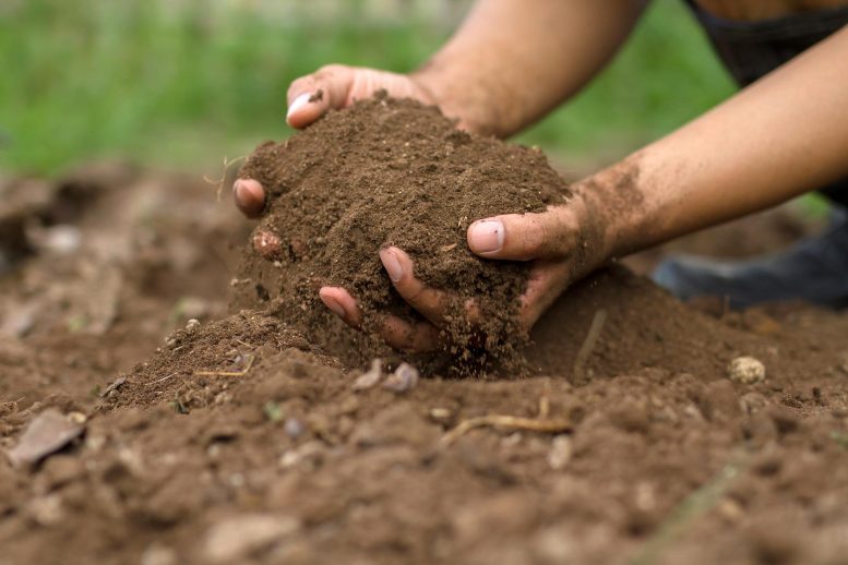 Soil-Hands-Dirt-777x518.jpg