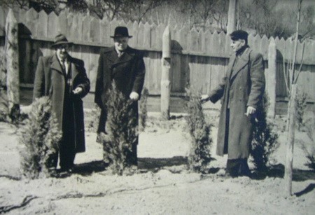1935年秋种植第一批灌木.jpg
