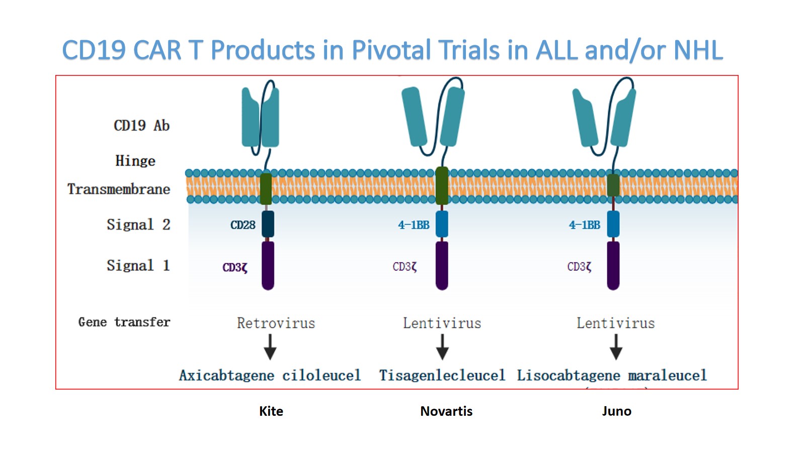 CD19 CAR T Products in Pivotal Trials in ALL and.jpg