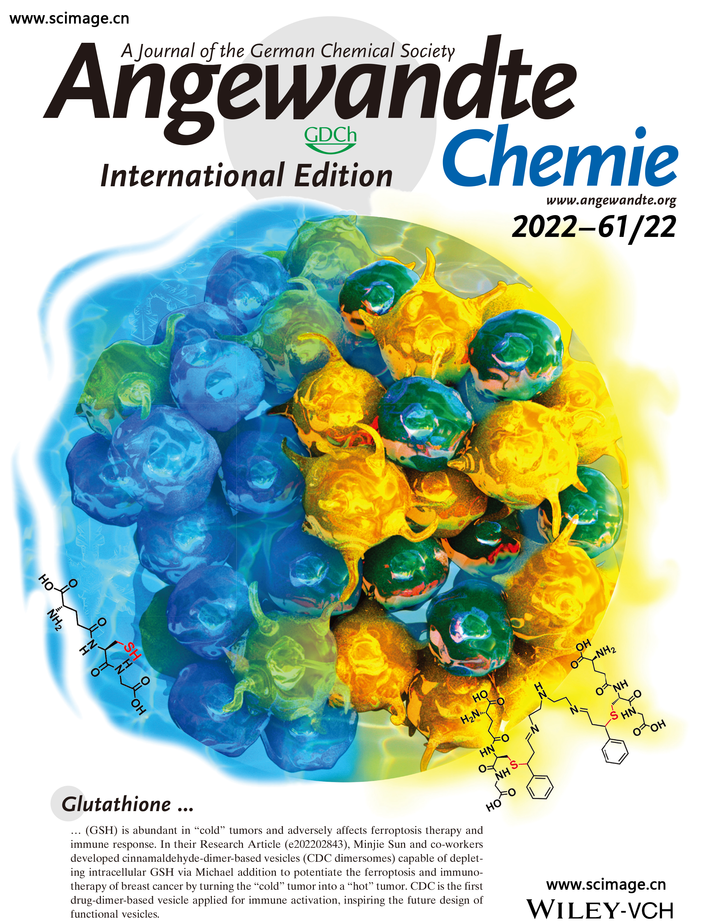 Angew Chem Int Ed - 2022 - Zhou - Back Cover  Glutathione Depletion‐Induced Ac.jpg